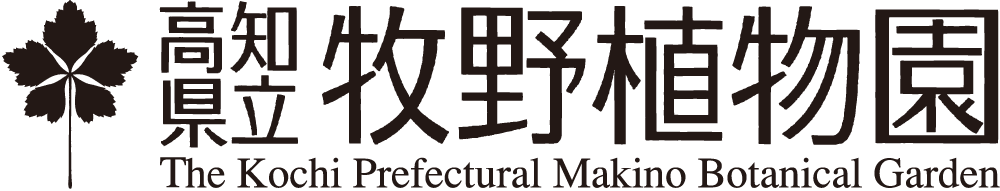 高知県立牧野植物園|画像資料貸出